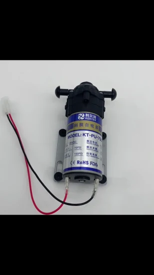 Pièces de rechange de traitement de l'eau haute pression hydraulique RO Booster de diaphragme électrique auto-amorçante DC24V 75gpd pompe pour purificateur d'eau RO